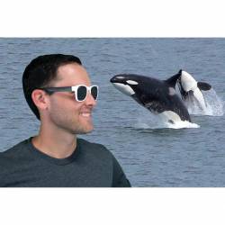 Roshambo Free Willy Junior pomarańczowe - okulary -426135